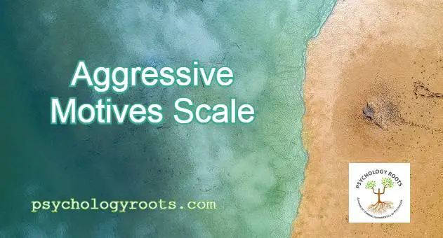 Aggressive Motives Scale