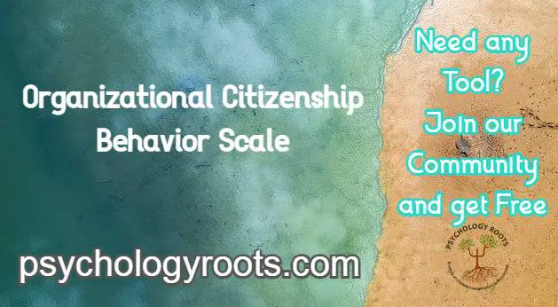 Organizational Citizenship Behavior Scale