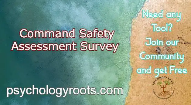 Command Safety Assessment Survey