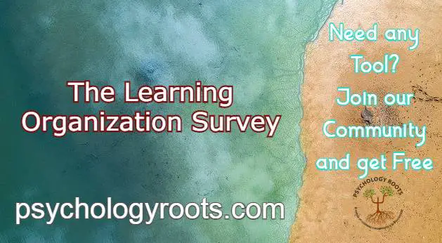 The Learning Organization Survey