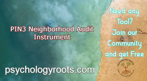 PIN3 Neighborhood Audit Instrument