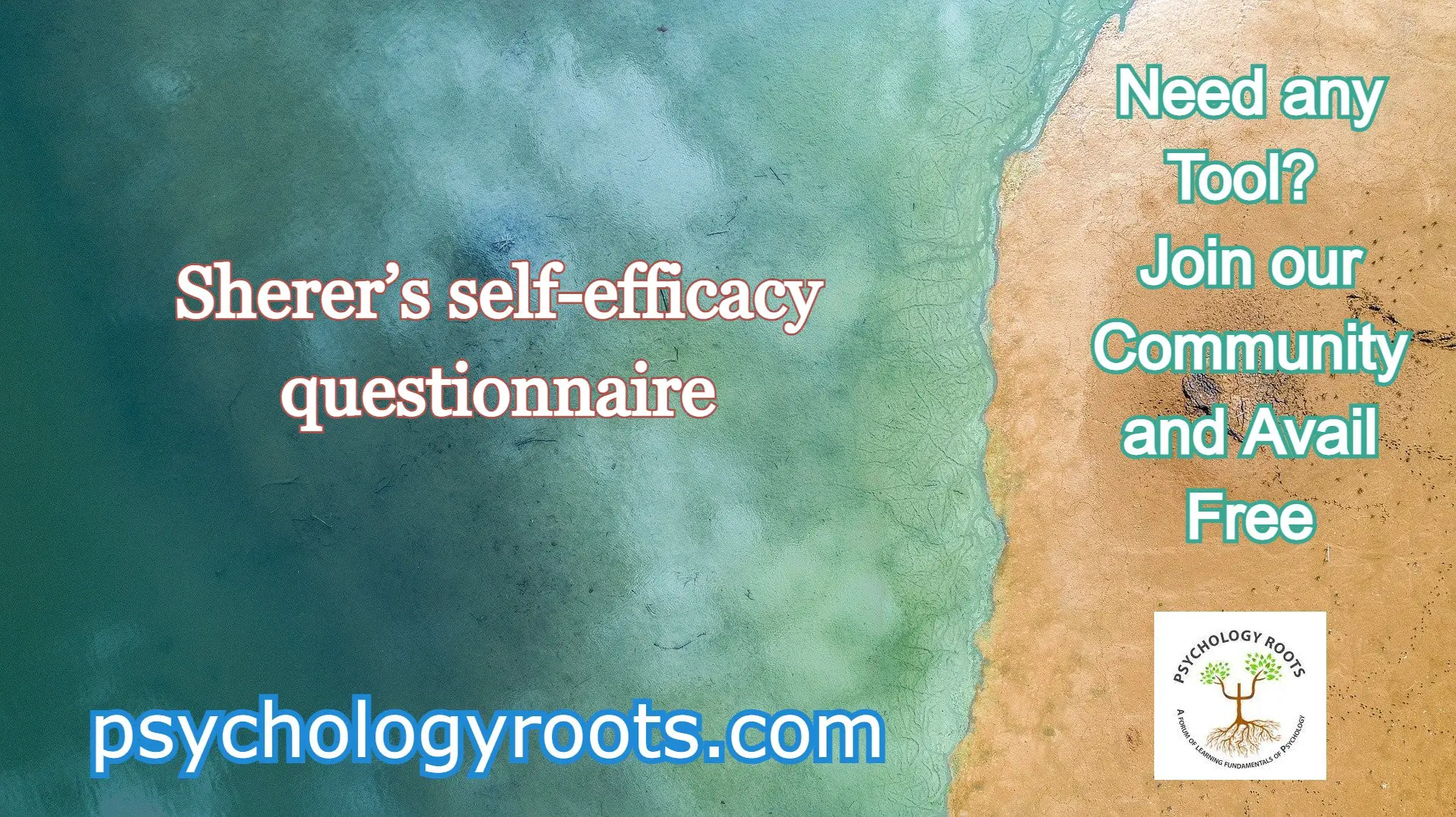  Sherer’s self-efficacy questionnaire