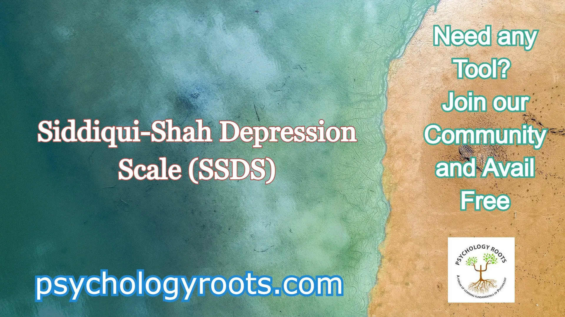 Siddiqui-Shah Depression Scale (SSDS)