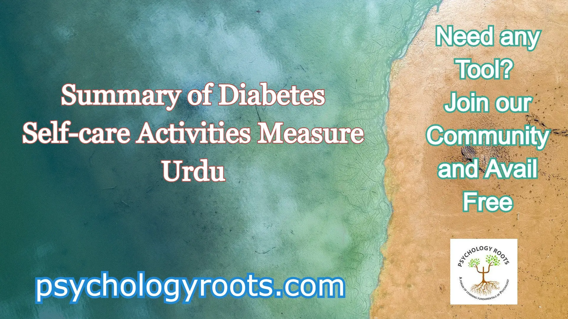 Summary of Diabetes Self-care Activities Measure Urdu