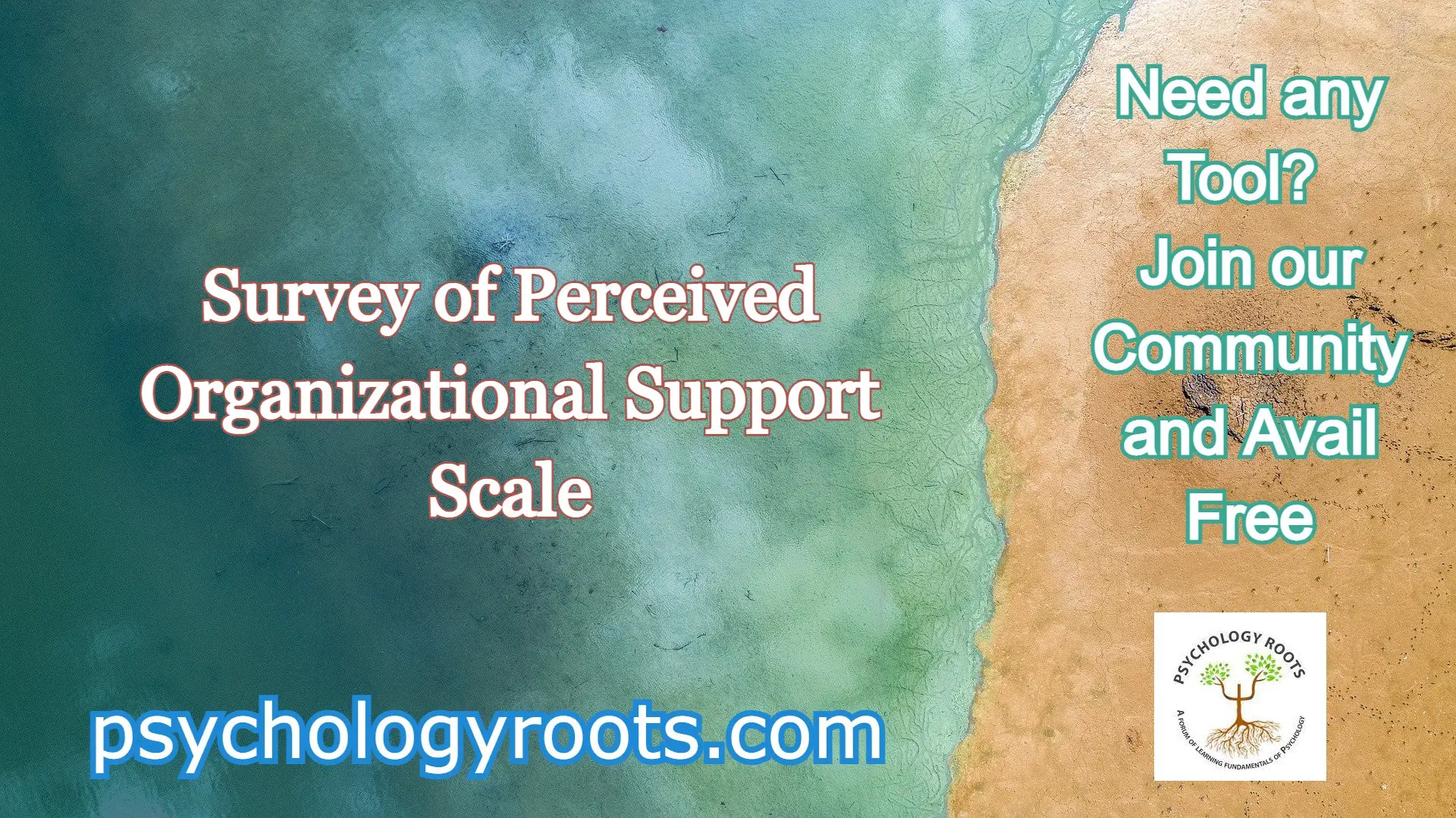 Survey of Perceived Organizational Support Scale