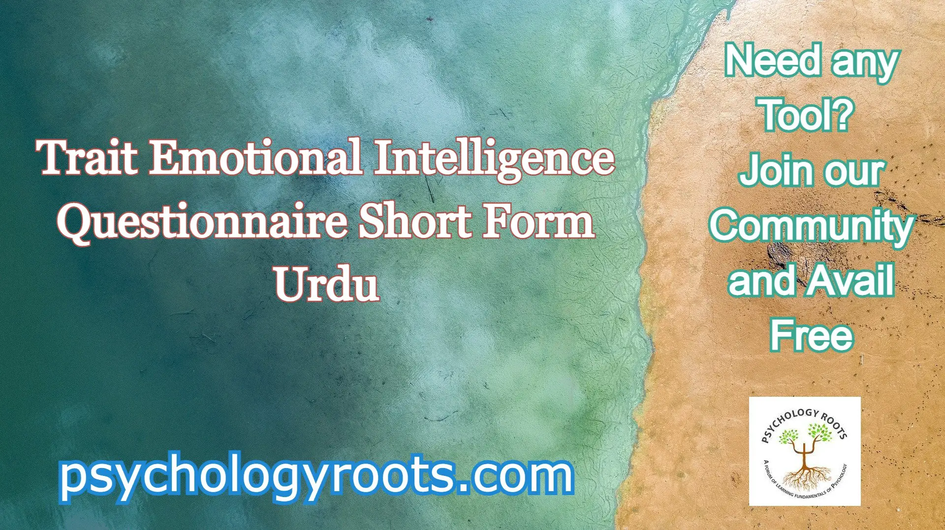 Trait Emotional Intelligence Questionnaire Short Form Urdu