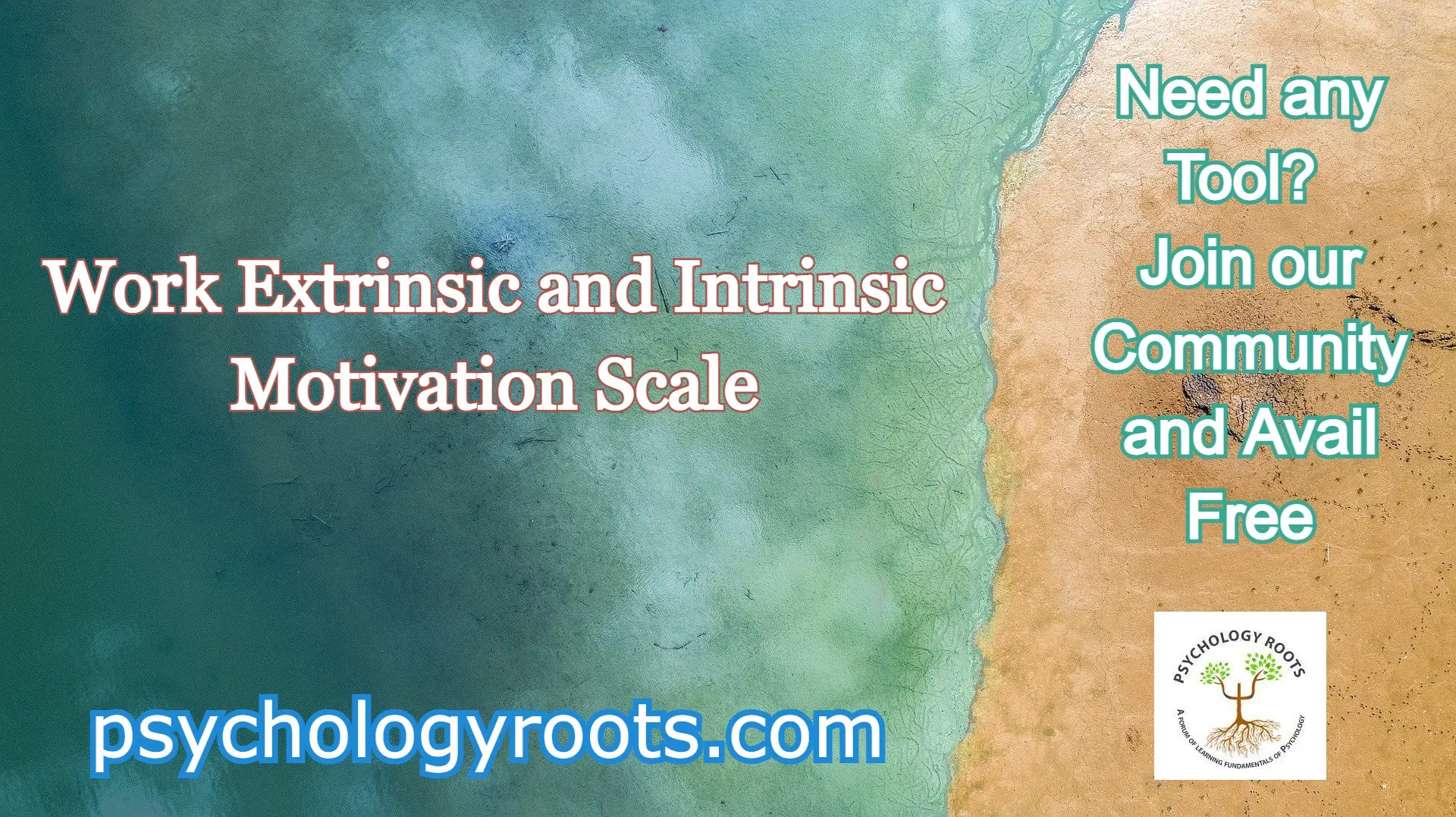 Work Extrinsic and Intrinsic Motivation Scale