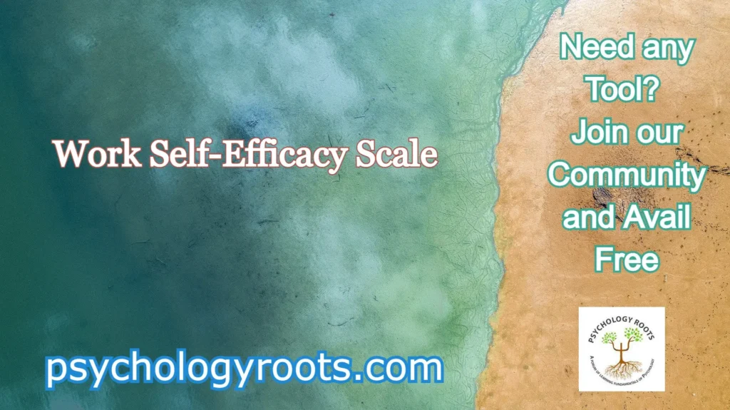 Work Self-Efficacy Scale