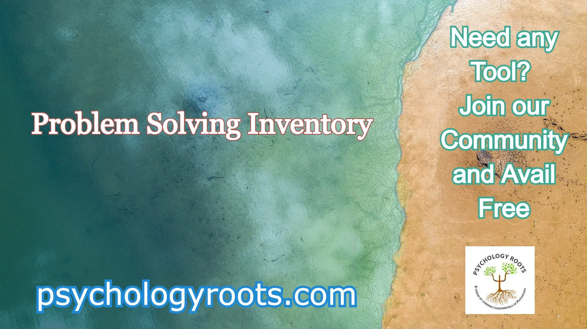 problem solving inventory (psi)