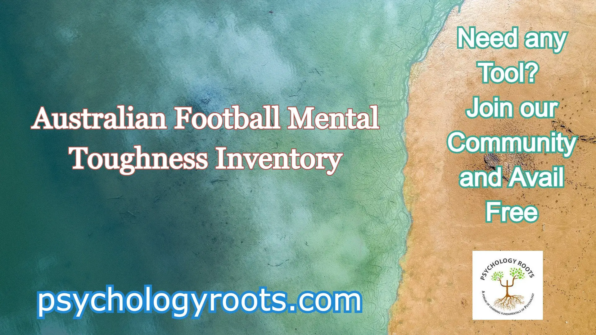 Australian Football Mental Toughness Inventory