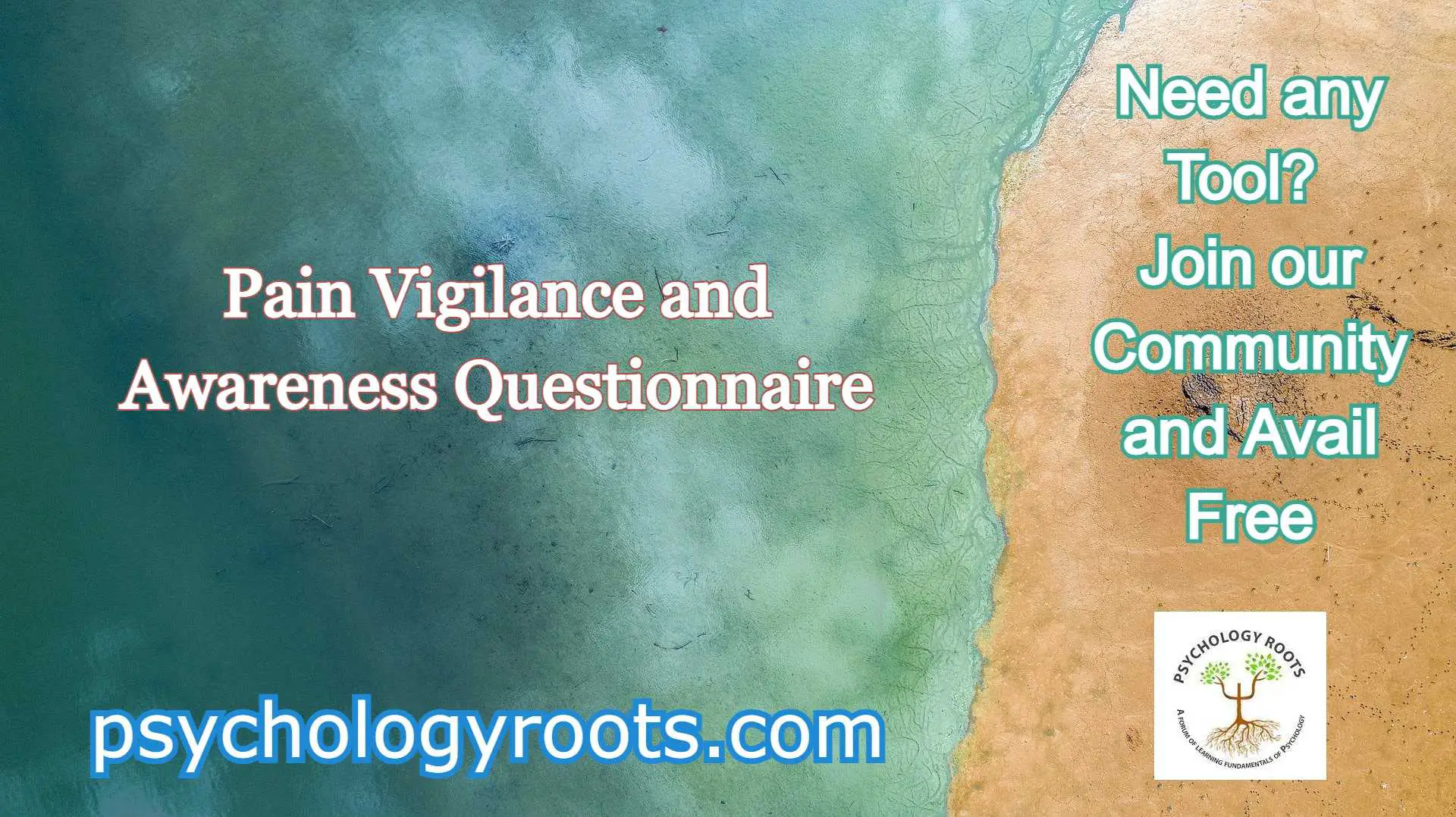 Pain Vigilance and Awareness Questionnaire