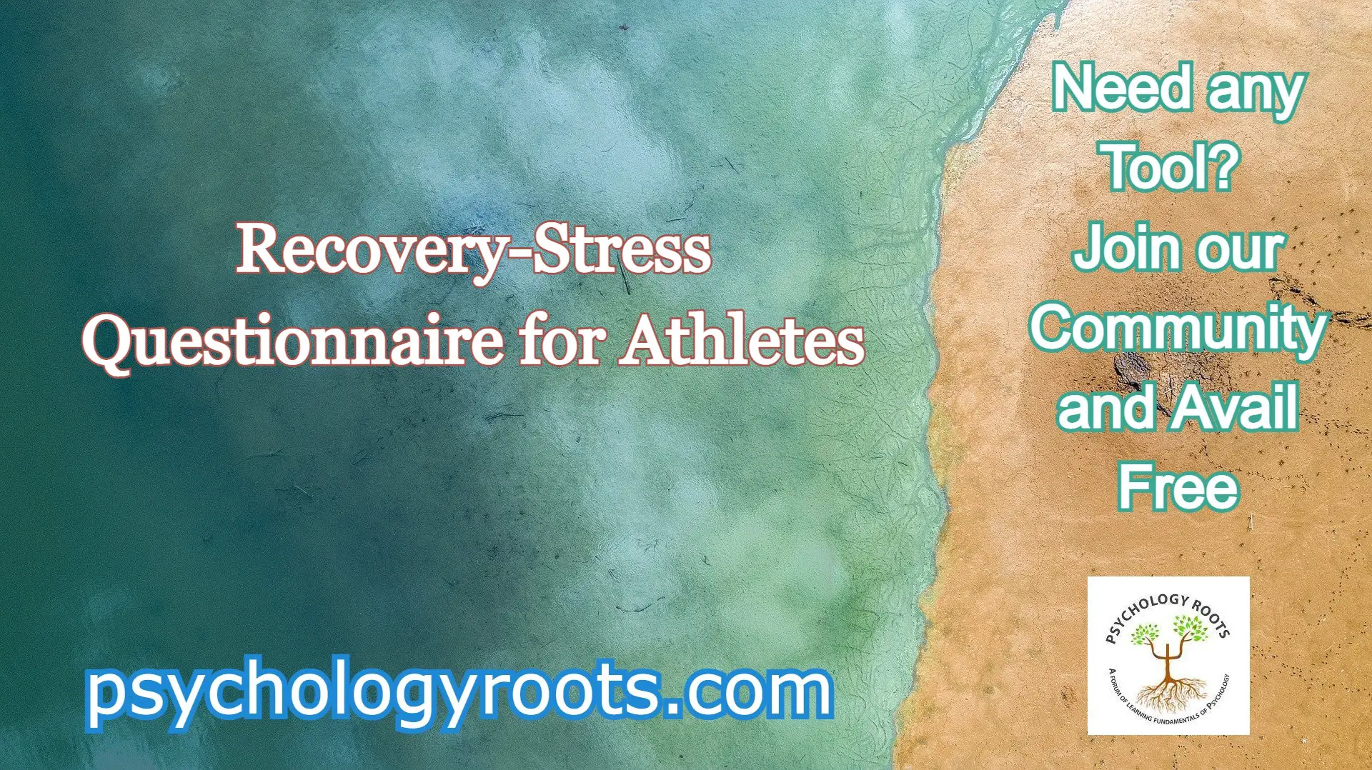 Recovery-Stress Questionnaire for Athletes