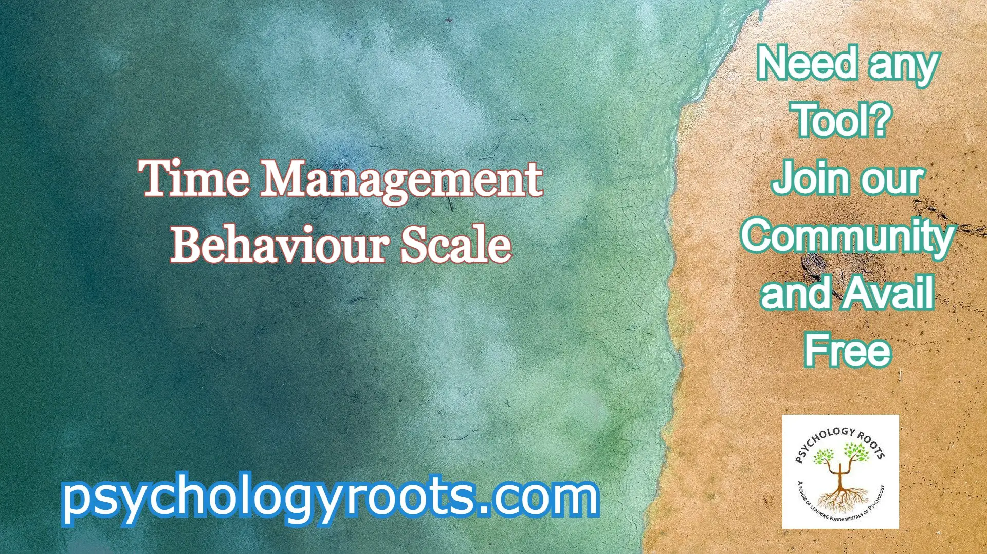 Time Management Behaviour Scale