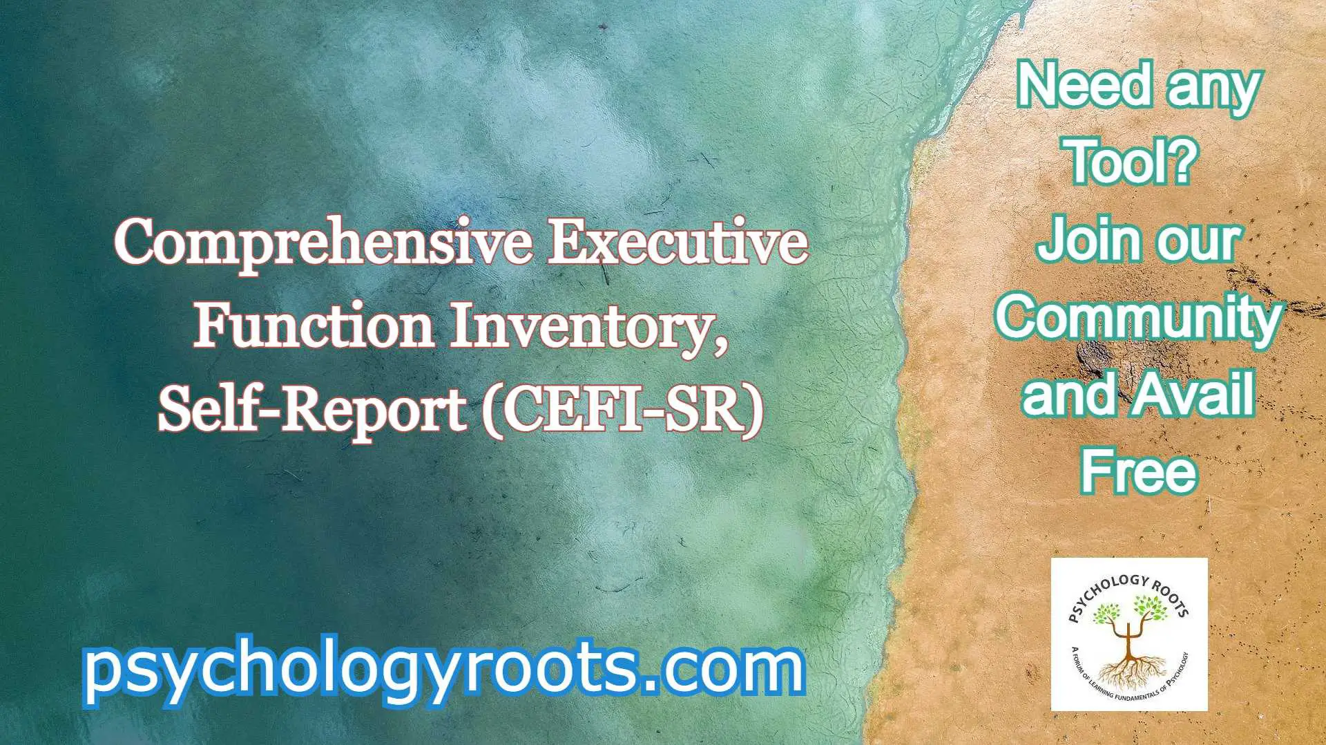 Comprehensive Executive Function Inventory - Self-Report 