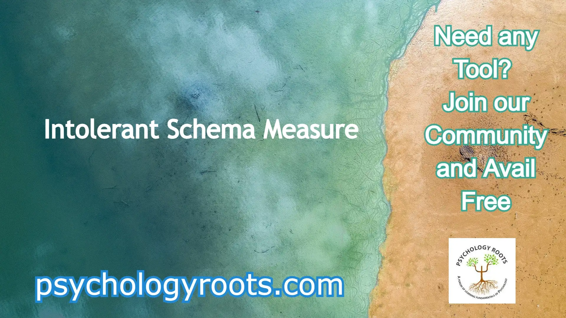 Intolerant Schema Measure