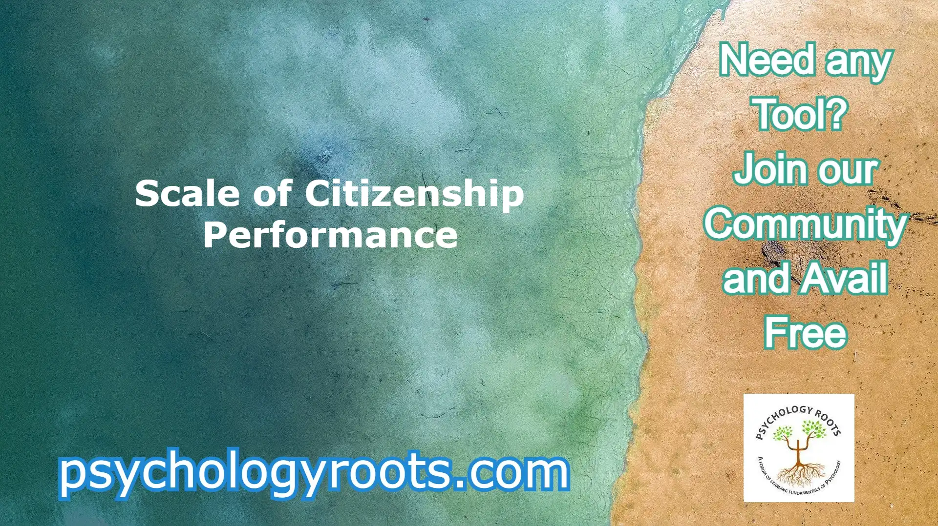 Scale of Citizenship Performance