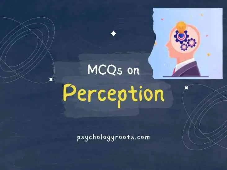MCQs on Perception