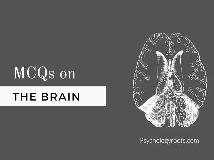 MCQs on the Brain