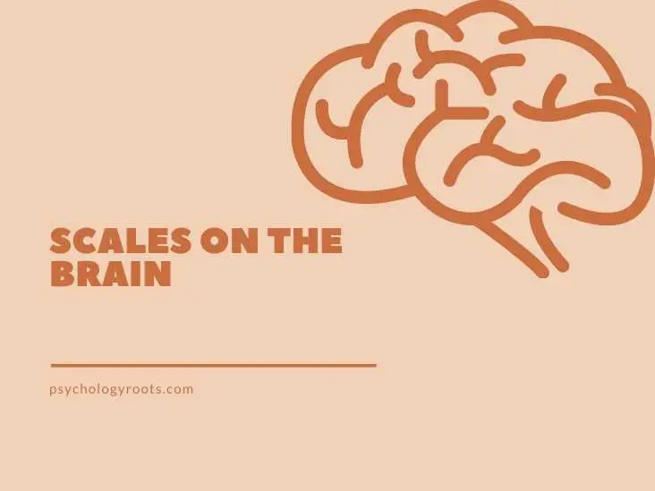 Scales on the Brain