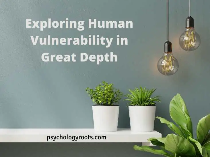Exploring Human Vulnerability in Great Depth