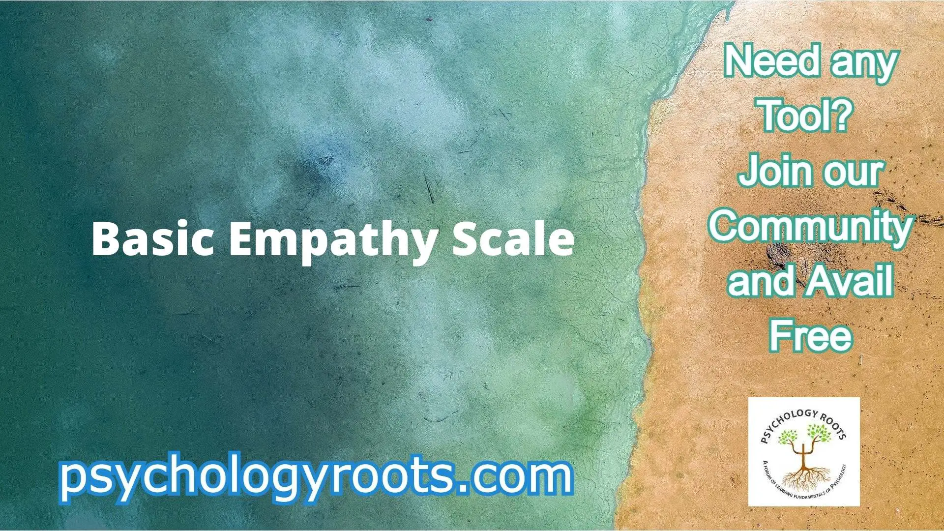 Basic Empathy Scale