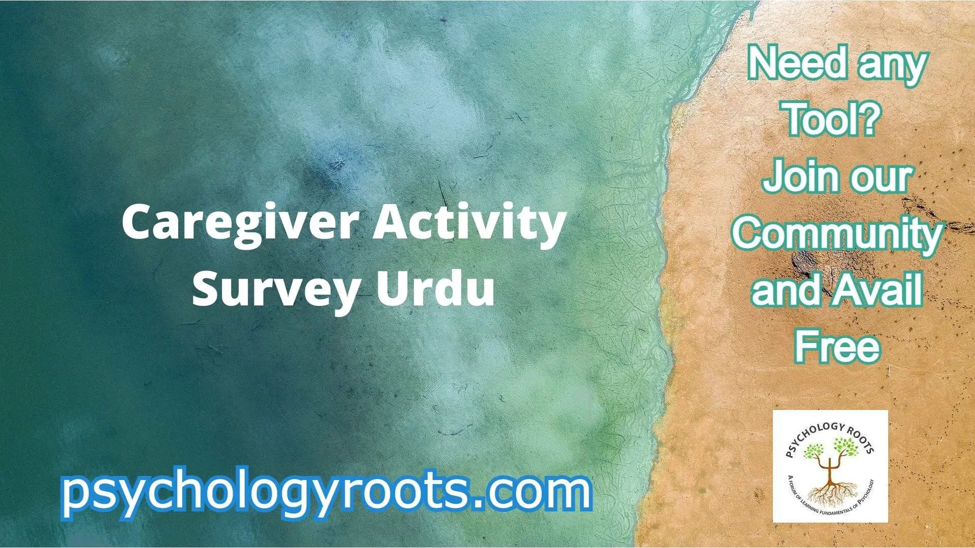 Caregiver Activity Survey Urdu