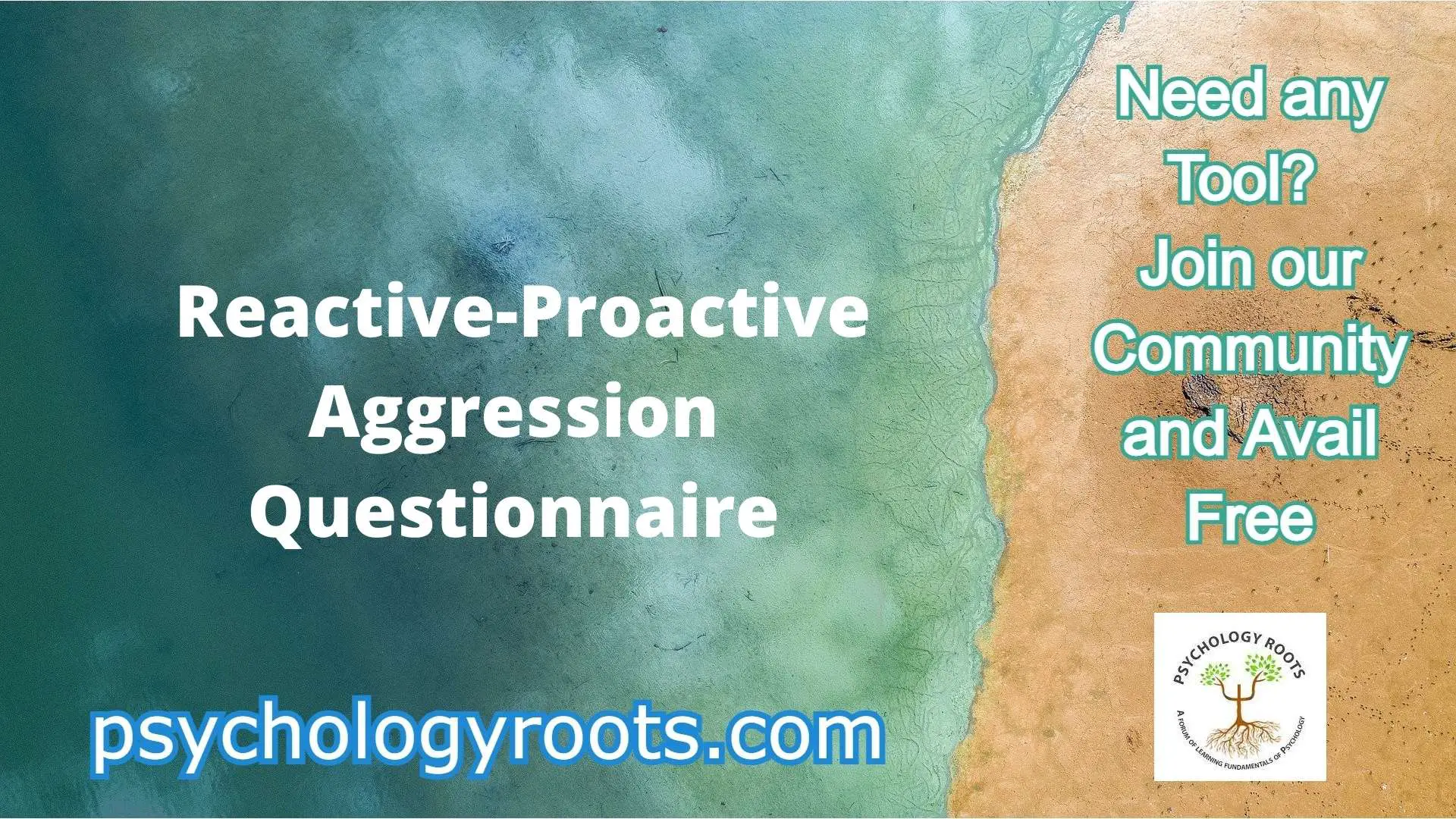 Reactive-Proactive Aggression Questionnaire