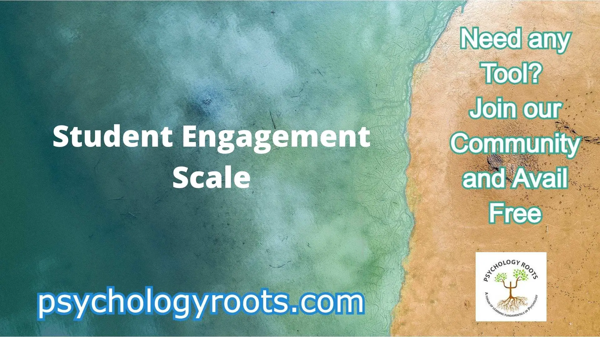 Student Engagement Scale