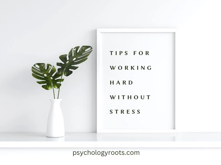 Tips for Working Hard Without Stress