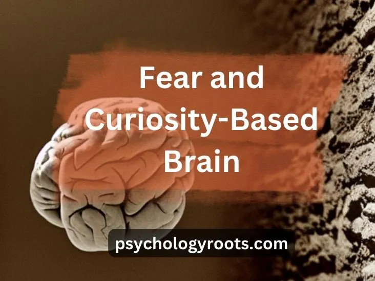 Fear and Curiosity-Based Brain