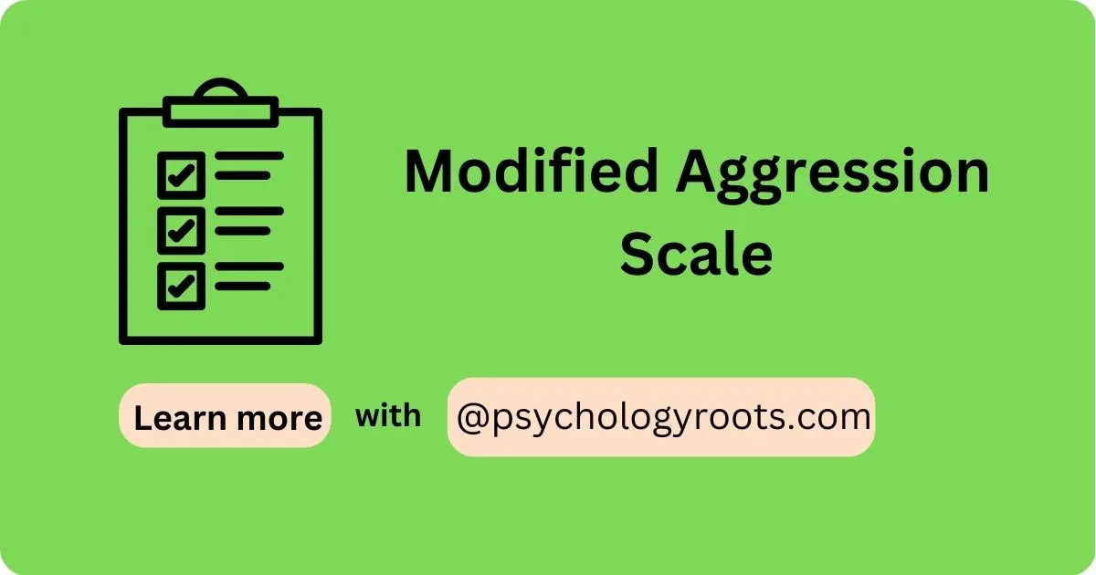 Modified Aggression Scale