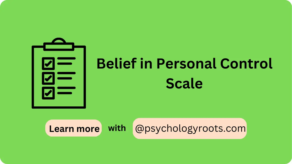Belief in Personal Control Scale