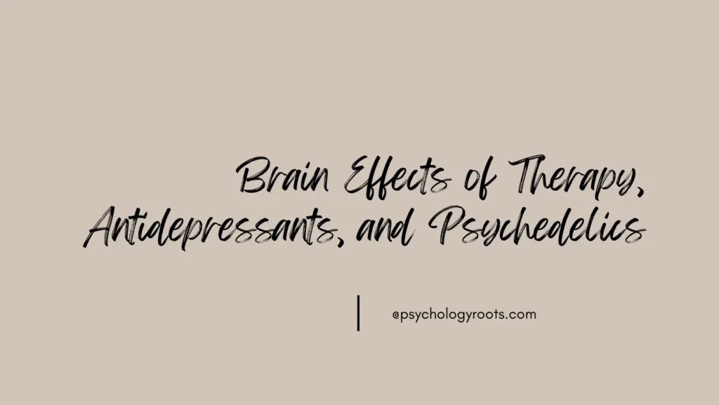Brain Effects of Therapy, Antidepressants, and Psychedelics