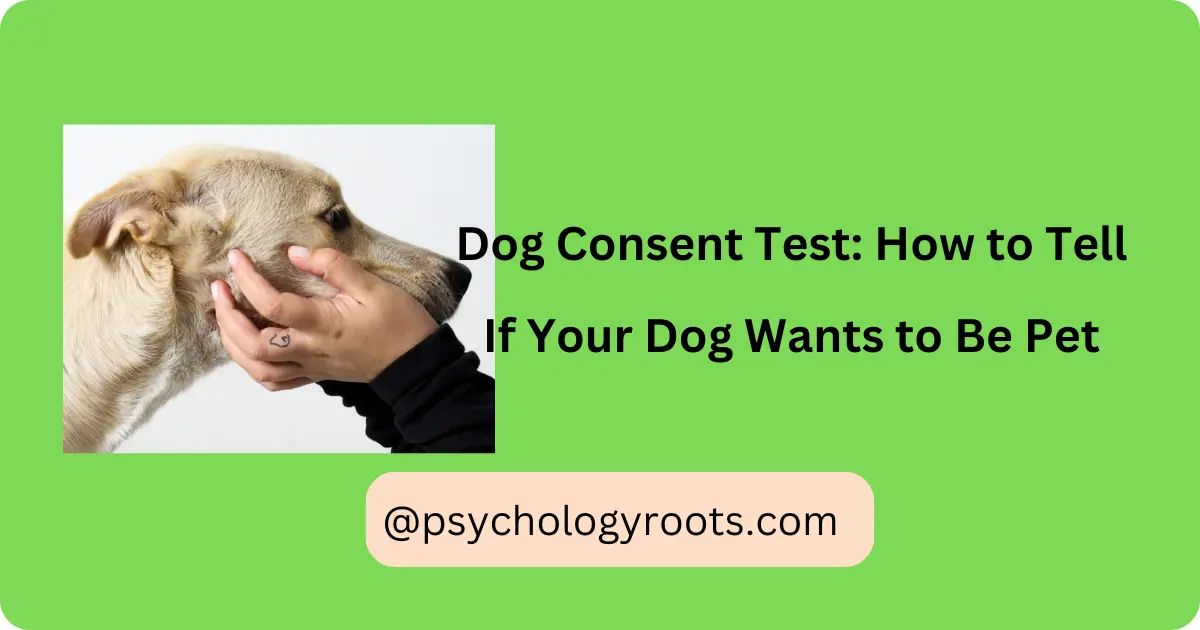 Dog Consent Test: How to Tell If Your Dog Wants to Be Pet