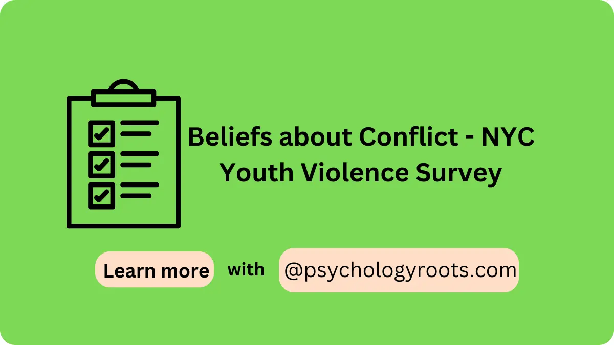 Beliefs about Conflict - NYC Youth Violence Survey