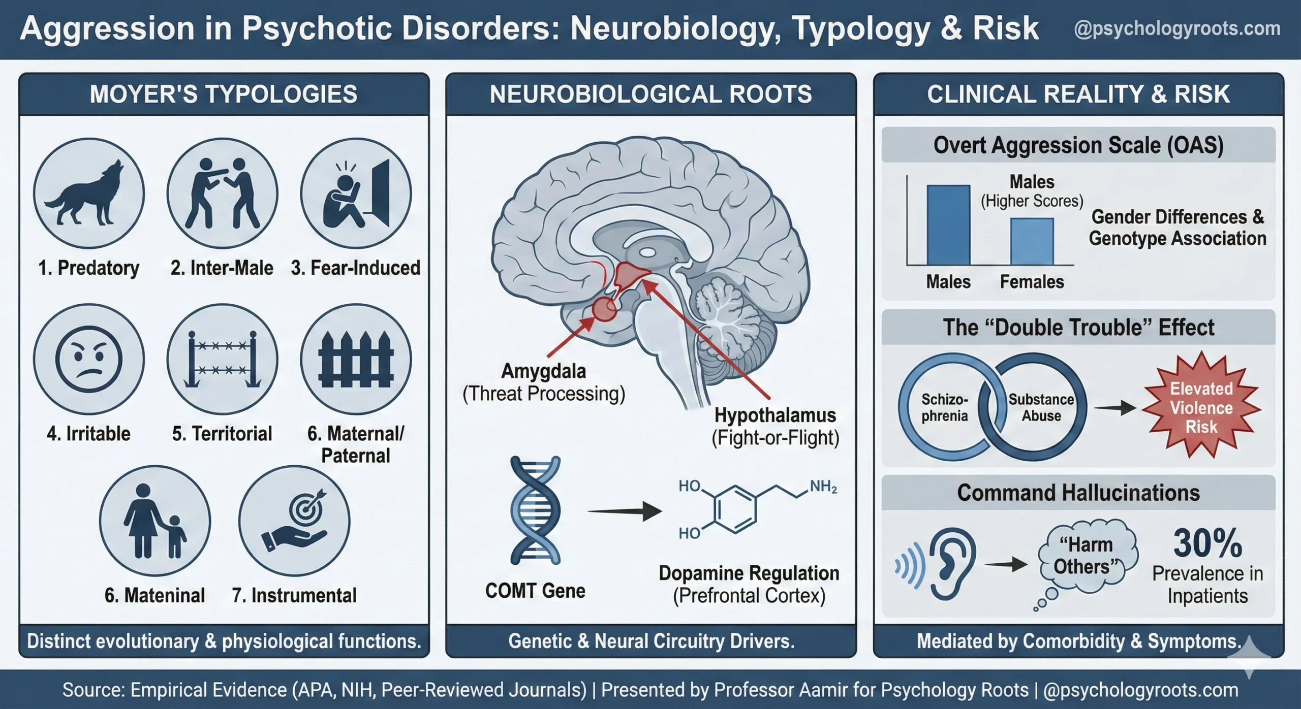 Aggression in Psychotic and Neurotic Disorders
